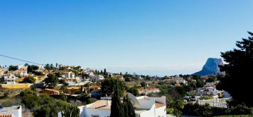 canuta
                          blick