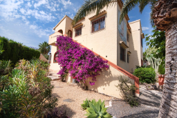 Lu entrada
                        casa